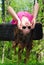 Young Girl Playing on Tire Swing