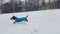 A young girl plays with a dog in the snow in the winter