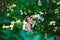 Young girl posing surrpunded with flowers of blooming tree of chestnut