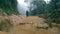 Young girl in raincoat going on wood trail during travel. Hiking woman with backpack walking in tropical wet forest