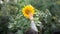 Young girl reaching up to touch a sunflower