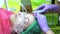 A young girl at a reception with a cosmetologist. The beautician cleanses the face and makes peeling.