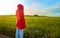 Young girl with red jacket from behind in a rice field at sunset time. Concept tranquility, nature, chromatic contrast