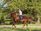 Young girl riding horse