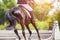 Young girl riding horse on equestrian competition