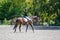 Young girl riding horse on equestrian competition