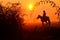 Young girl riding on horse during wonderful calm autumn morning full of mist and gold light