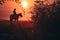 Young girl riding on horse during wonderful calm autumn morning full of mist and gold light