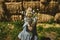 Young girl in rubber boots with flowers standing against the background of straw bales on country farm. Farming, Cottagecore,