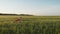 Young girl running with red tissue in green field. Happy cute girl playing in the wheat field on a warm summer day at