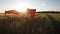 Young girl running with red tissue in green field. Happy cute girl playing in the wheat field on a warm summer day at