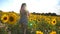Young girl running on yellow sunflower field with sun flare at background. Unrecognizable woman in dress goes through