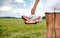 Young girl in shorts holding her sneakers