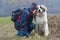 Young girl showing affection to her shepherd dog