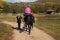 A young girl sits on a horse and rides a black horse on a Sunny day.Photos of different horses.