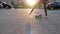 Young girl skateboarding on city street on sunlight background and urban architecture. Teenager girl riding skateboard