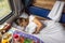 A young girl sleeps on the bottom bunk in a train