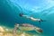 Young girl snorkeling with sea turtle