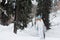 Young girl snowboarder goes towards camera on snowy mountain in the forest