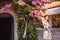 Young girl standing near tree with flowers