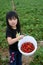 Young girl strawberry picking