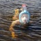 Young girl swims down the river wearing a mask