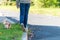 Young girl take the dog for walkies