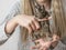 Young girl teenager playing with small animal common degu squirrel. Close-up portrait of the cute pet standing on kid`s palm