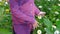 Young girl touching white chamomile flowers and green grass with hand sunny day outdoor