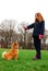 A young girl trains a dog to stay