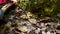 Young girl, unrecognizable, playing in forest and popping puffball mushrooms