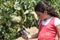 Young Girl in Vineyard