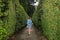 A young girl walks along the alley in the maze of bushes