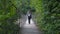 Young girl walks on the suspension bridge