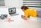 Young girl watching video online on laptop and doing plank fitness exercises at home. Distant training with personal trainer.