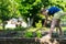 Young girl weeding the vegetable patch