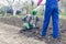 Young girl working in a spring garden with a cultivator