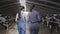 Young girls farmers making a tour of the barn with cows on the farm. Girl farmer shows the visitor cows and calves on