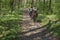 Young girls riding on horseback through the forest