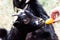 Young goat eats an apple from a person hands farm animal outdoor agriculture in a village or on a ranch