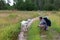 Young goat and man with backpack on meadow and dirt road in forest