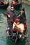 Young gondolier taking japanese tourists on Venice