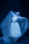 Young graceful balerina in image of ghost bride in art performance isolated on dark background in neon light.