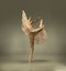 Young graceful tender ballerina on grey studio background