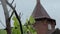 Young grape vine green leaves in the wind on a rainy day and church dome on a background