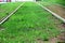 Young grass on tram tracks in spring