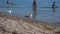 Young Great black-backed gull cheerfully runs to drink water along the beach among people in Zaliznyy port. Video 21 seconds
