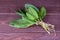 Young green leaves of sorrel tied in a pile on a wooden background. Useful vegetable culture and medicinal plant Rumex acetosa,