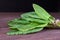 Young green leaves of sorrel tied in a pile on a wooden background. Useful vegetable culture and medicinal plant Rumex acetosa,