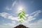 Young green plant on the soil ,on blue sky background